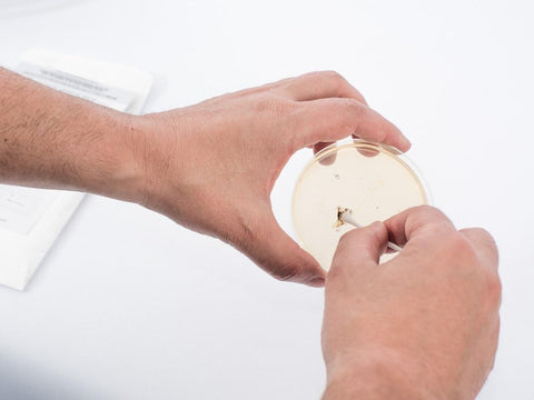 Professional Lab MO109 Do It Yourself Professional Mold Test Kit - Quantity of 5