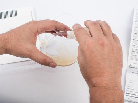 Professional Lab MO109 Do It Yourself Professional Mold Test Kit - Quantity of 5