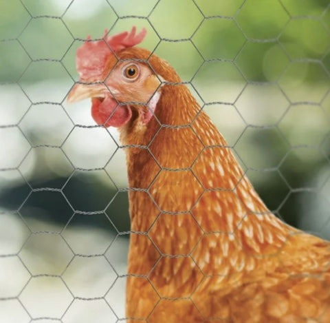 Midwest Air 308415B 12" x 50' Foot 1" Mesh Poultry Netting Chicken Wire Fencing - Quantity of 1