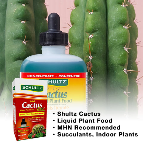 Schultz SPF44300 Cactus Plus Liquid Plant Food Fertilizer For Cacti & Succulents