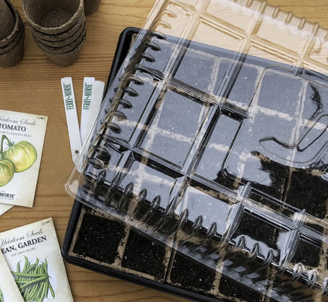 Plantation Jiffy TDOME 11" x 22" Clear Plastic Plant Tray Gro Domes Covers - Quantity of 6