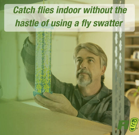 Rescue TSF-BB8 Indoor TrapStik Fly Trap - Quantity of 8