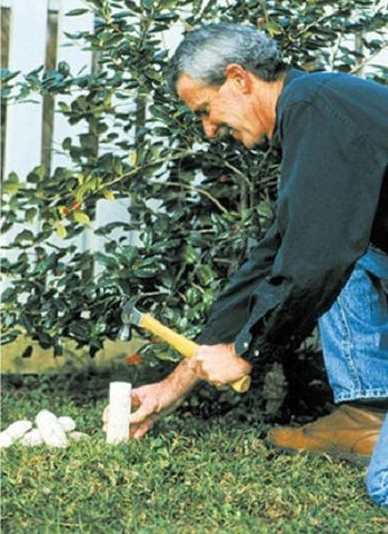 Jobe's 2012 5-Pack 8-11-11 Fruit Tree Fertilizer / Food Spikes - Quantity of 32