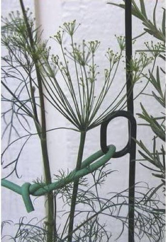 Panacea Products 84171 36" Green Double Loop Metal Plant Supports - Quantity of 96