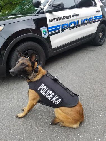 Rescue Leaders WBLBRA-1 WHITE & BLUE Body Beacon LED Equipped Black Leather Brass Belt Keeper First Responder Light Gen 2 - Quantity of 1