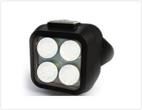 Rescue Leaders WWLBRA-2 WHITE & WHITE Body Beacon LED Equipped Black Leather Brass Belt Keeper First Responder Lights Gen 2 - Quantity of 2
