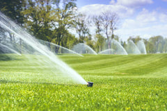 Irrigation & Sprinklers +