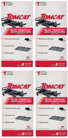 Tomcat 0362610 6-Pack Professional Strength Ready to Use Mouse Glue Traps - Quantity of 4