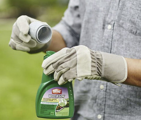 Ortho 0396415 16 oz Bottle of Weed B Gon Chickweed Clover Oxalis Lawn Weed Killer Concentrate