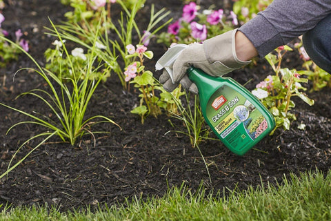 Ortho 0438580 24 oz Ready To Use Grass B Gon Garden Grass Killer Spray - Quantity of 24