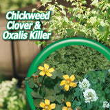 Bonide 061 16 oz Bottle of Concentrate Chickweed Clover & Oxalis Killer