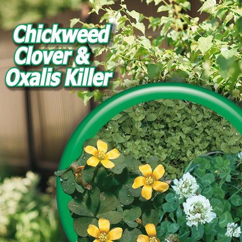 Bonide 061 16 oz Bottle of Concentrate Chickweed Clover & Oxalis Killer
