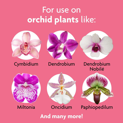 Scotts Miracle Gro 100195 8 oz Ready To Use Orchid Plant Food Mist - Quantity of 6