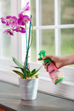 Scotts Miracle Gro 100195 8 oz Ready To Use Orchid Plant Food Mist - Quantity of 6