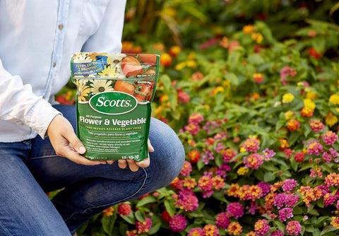 Scotts 1009001 3 LB Bag Of 10-10-10 Flower & Vegetable Plant Food - Quantity of 5