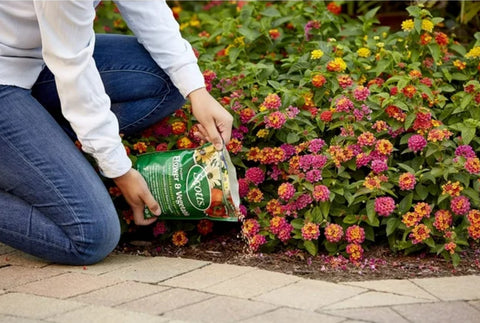 Scotts 1009001 3 LB Bag Of 10-10-10 Flower & Vegetable Plant Food - Quantity of 5