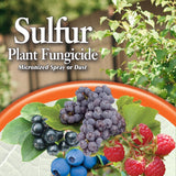 Bonide Products # 141 1 LB Sulfur Dust Plant Fungicide - Quantity of 4