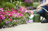 Miracle Gro 146002 4 LB Box of Water Soluble Bloom Booster Flower Food / Fertilizer - Quantity of 1
