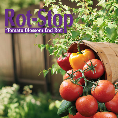 Bonide 1676 32 oz Bottle of Rot-Stop Tomato Blossom End Rot Ready To Use Spray