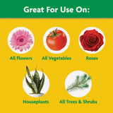 Scotts Miracle Gro 2000992 8 oz Water Soluble All Purpose Plant Food - Quantity of 2