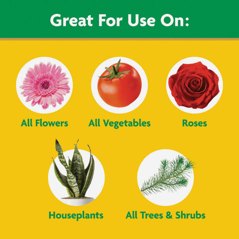 Scotts Miracle Gro 2000992 8 oz Water Soluble All Purpose Plant Food - Quantity of 2