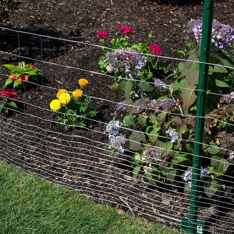 Midwest Air 308303B 60" x 50' ft 4" x 2" Galvanized Welded Wire Fence Fencing - Quantity of 1