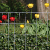 Midwest Air 308303B 60" x 50' ft 4" x 2" Galvanized Welded Wire Fence Fencing - Quantity of 1