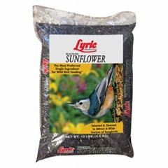 Lyric 2647419 5 LB Bag of Black Oil Sunflower Seed Wild Bird Food