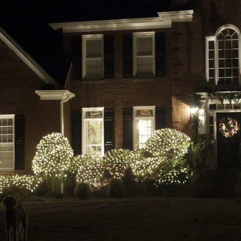Holiday Wonderland 48950-88 150 Light Count 4' x 6' Clear Net Christmas Lights - Quantity of 15
