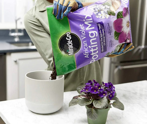 Miracle-Gro 72678430 8-Quart Bag of African Violet Potting Mix