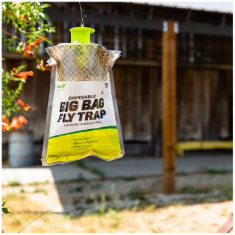 Rescue BFTD-DB12 Big Bag No Pesticide Non Toxic Disposable Fly Trap - Quantity of 10