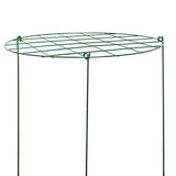 Panacea Products 89320 20"D x 30" Tall Grow Thru Peony PVC Coated Plant Supports - Quantity of 4