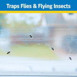Raid 8PK-FTRP RAID 8-Count Disposable Window Fly Traps - Quantity of 6
