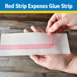 Raid 8PK-FTRP RAID 8-Count Disposable Window Fly Traps - Quantity of 2