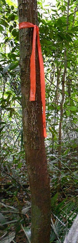 Hanson 17022 1-3/16" x 300' ft Bright Orange Vinyl Flagging Ribbon Marking Tape - Quantity of 48