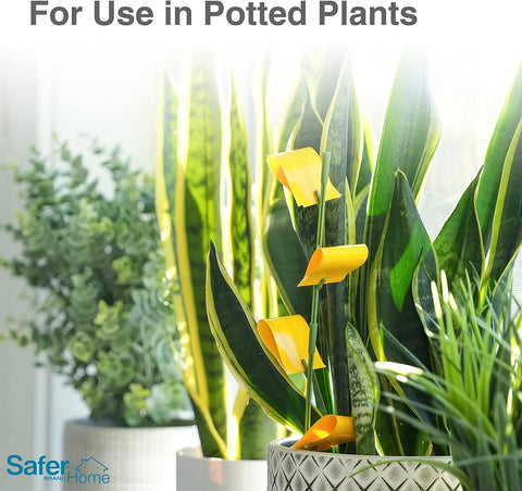 Safer SH5026 8-Count Pack of Non Toxic Houseplant Whitefly & Insect Sticky Stake Traps