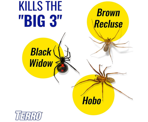 Terro T2302 16 oz Can of Spider Killer + Ant Scorpion Roach Bedbug & Tick Killer Spray