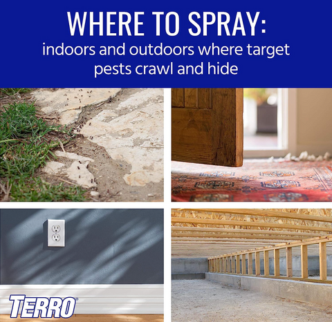 Terro T2302 16 oz Can of Spider Killer + Ant Scorpion Roach Bedbug & Tick Killer Spray