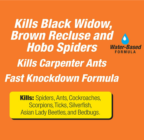 Terro T2302 16 oz Can of Spider Killer + Ant Scorpion Roach Bedbug & Tick Killer Spray