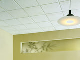 USG Interiors 1004 24"" x 24" x 5/8" White Class A Mineral Fiber Acoustical Panel Ceiling Tile - Quantity of 32