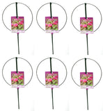 6 ea Luster Leaf 987 18" D x 30" Single Ring Folding Peony Hoop Plant Supports