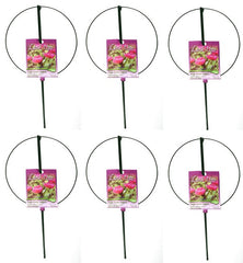 6 ea Luster Leaf 987 18" D x 30" Single Ring Folding Peony Hoop Plant Supports