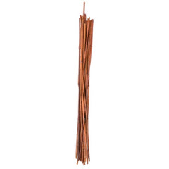 Panacea 84180 6 count 72" Green Natural Bamboo Garden Stakes - Quantity of 6 packages